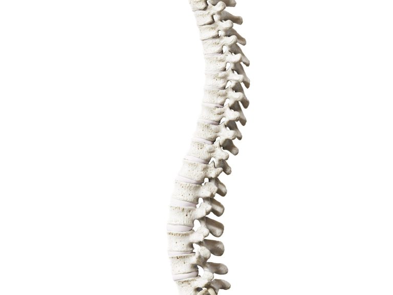 Osteoporosis Management Physio
